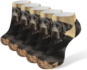 5 Pairs Ankle Socks Soft Breathable No Show Socks Comfortable Cotton Low Cut Casual Socks for Women Men Cute Labrador Dog