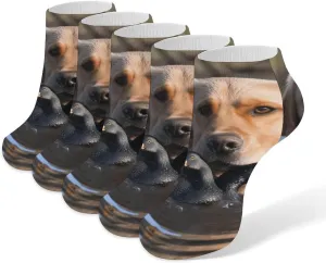 5 Pairs Ankle Socks Soft Breathable No Show Socks Comfortable Cotton Low Cut Casual Socks for Women Men Dog And Duck in The Water