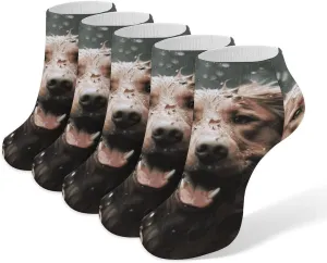 5 Pairs Ankle Socks Soft Breathable No Show Socks Comfortable Cotton Low Cut Casual Socks for Women Men Happy Dog in Rain
